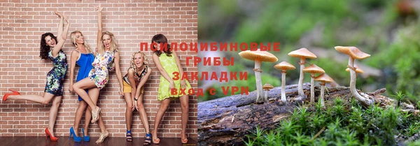 сатива Бугульма
