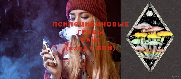 сатива Бугульма