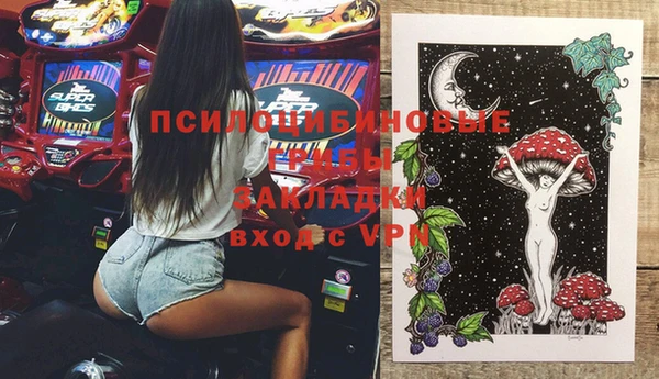 сатива Бугульма
