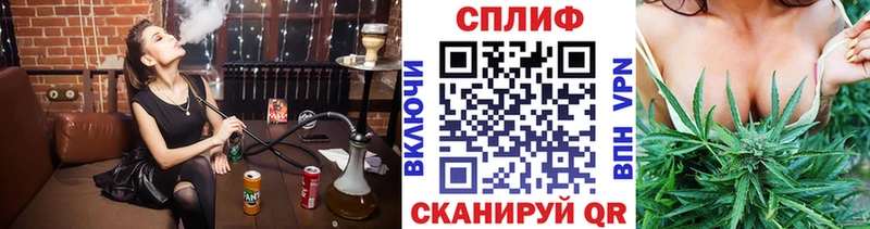Бошки Шишки планчик  закладки  Вышний Волочёк 
